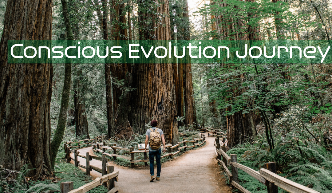 Conscious Evolution Journey, Why It Matters & What It is