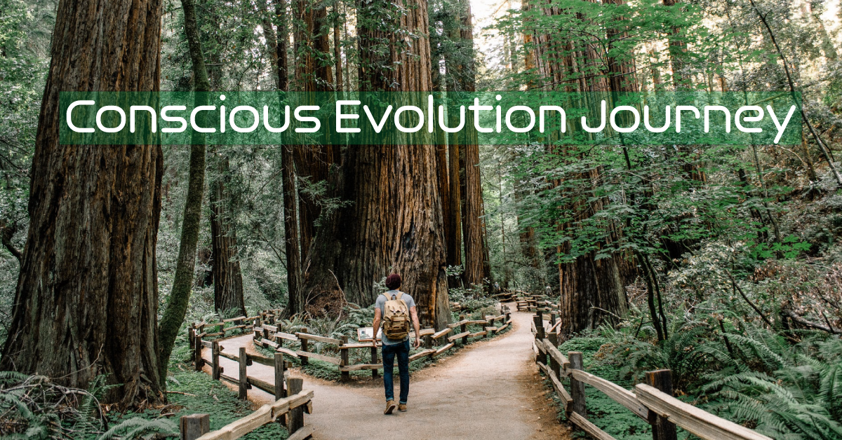 Conscious Evolution Journey, Why It Matters & What It is - EvoHu